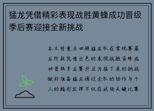 猛龙凭借精彩表现战胜黄蜂成功晋级季后赛迎接全新挑战