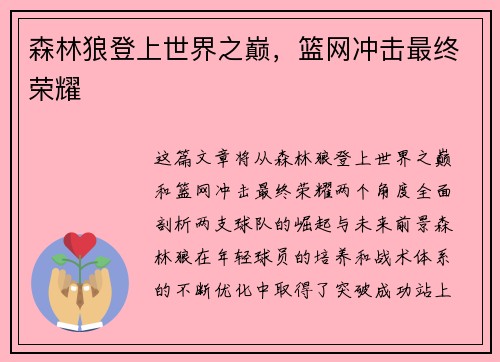 森林狼登上世界之巅，篮网冲击最终荣耀